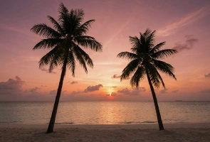 Zwei Palmen an einem tropischen Strand bei einem rosafarbenen Sonnenuntergang, präsentiert von trip´dip.  